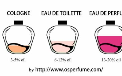 Blog - OS Fragrance - Perfume Manufacturer,Supplier & Trading